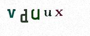 Visual Confirmation Security Code